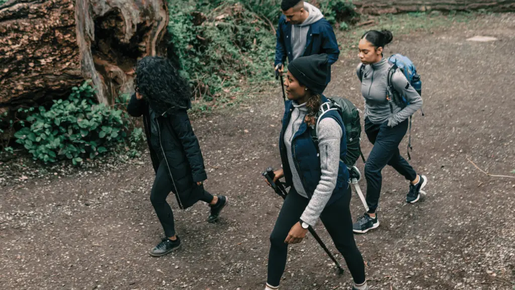 A group of friends hiking in the forest