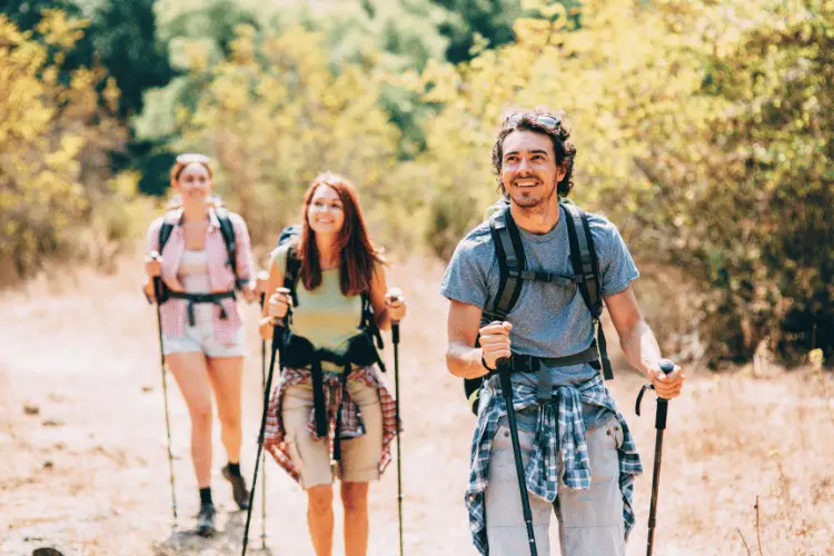a group of people goes hiking in summer