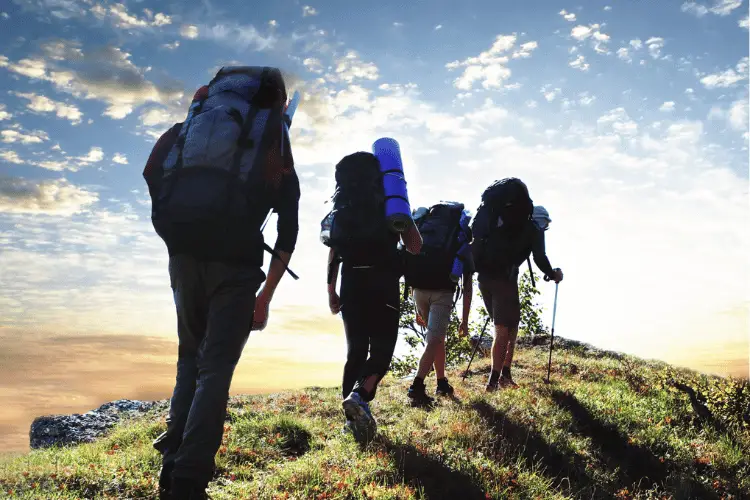 backside of a group of people hiking 