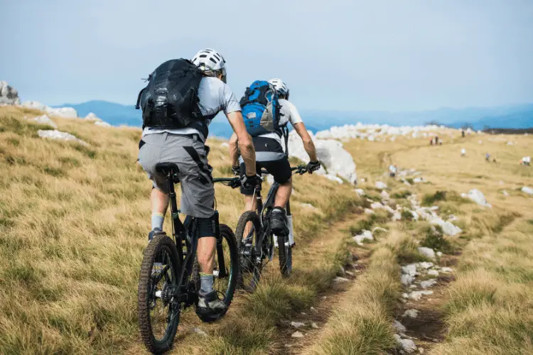 Two men riding mountain bikes